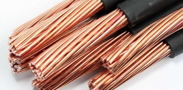 兴农评丨广东医保新政激活村医动能